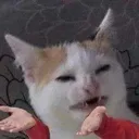 bruh