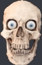 Android_skull Discord emoji
