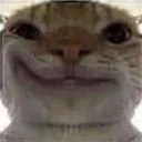 catsmirk