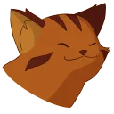 PopCat