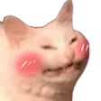 catblush