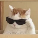 ACatCoolio