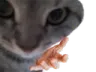 ungatogive