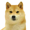 Doge2 doge2 Discord Emoji