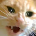 whyyyy