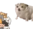 concernaposo