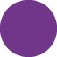 Purplecircle Discord Emoji