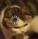 Confusedconfusion