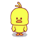 Duck Dancing DuckDancing Discord Emoji