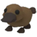 Platypus