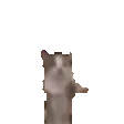 hie