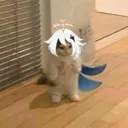 Catpeemon Discord Emoji