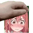 sumipet