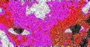 deepfried_1650921211853