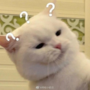 bruh_what Discord emoji