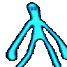 Pedrorave Pedrorave