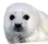 haarpseal
