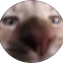 SAM