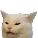 catgrumpy Discord Emoji