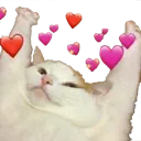catloveydovey Discord Emoji