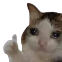 catthumbsuo Discord Emoji