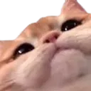 catmeep Discord Emoji
