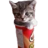 Pringles_KKet