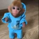 monoparado