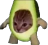 Avocato