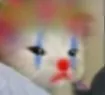 cat_clown