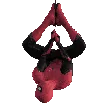 SpiderWeb
