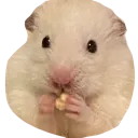 cashew_eating