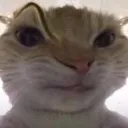 that_hmm