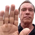 arnoldHalt