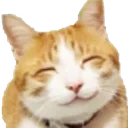 happycat