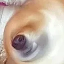 spin