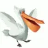 PelicanGoCrazyyyyy