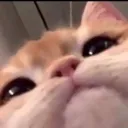 Fren