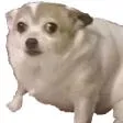 543582248604270594 543582248604270594