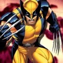 wolverine