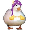 RaidenShyDuck