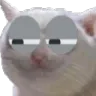 Catsus catsus Discord Emoji