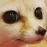 FenStare