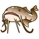 catfish