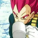 Vegetasip