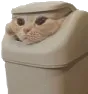 trashcat