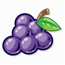 zzx_grape