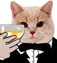 ch_cheerscat