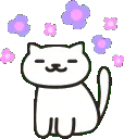 ML_flower_cat