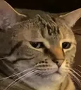 whatc
